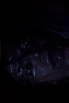 Knotted Trailer