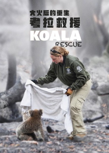 Koala Rescue Trailer