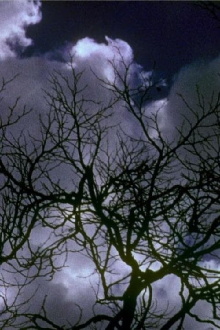 Kodachrome Dailies from the Time of Song and Solitude (Reel 2) Trailer