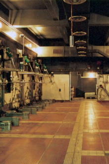 Kodak Trailer