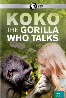 Koko: The Gorilla Who Talks to People Trailer