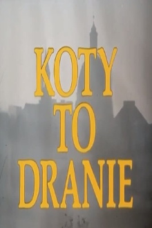 Koty to dranie Trailer