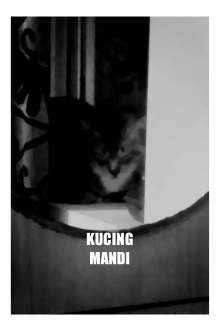 Kucing Mandi Trailer