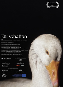 Kurschatten Trailer