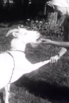 Kutunjuusto Trailer