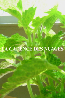 La cadence des nuages Trailer