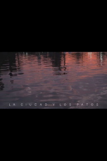 La ciudad y los patos Trailer