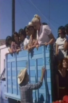 La cosecha de mujeres Trailer