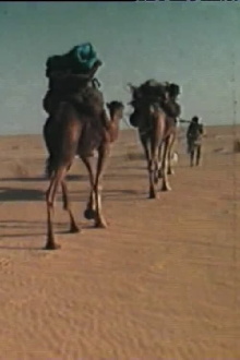 La dernière guémaré des Némadis Trailer