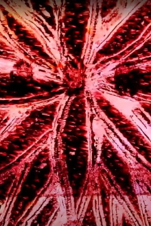 La estrepitosa vida de un maguey Trailer
