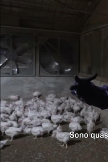La fabbrica della carne Trailer