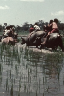 La fête des eaux à Vientiane Trailer