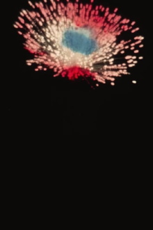 La Fontaine Lumineuse du Parc Lafontaine / Feu d’Artifice Trailer