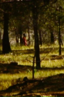 La forêt Trailer