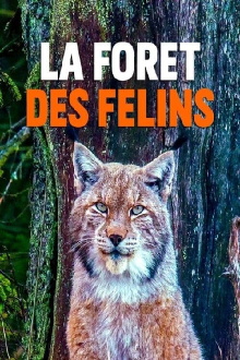 La forêt des félins: Chats sauvages et lynx du Harz Trailer