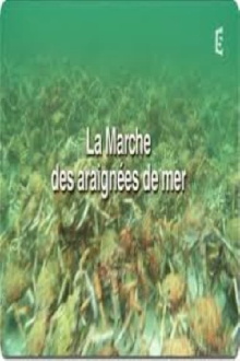 La marche des araignées de mer Trailer