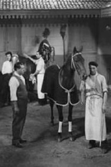 La mujer y el jockey (Hipódromo) Trailer