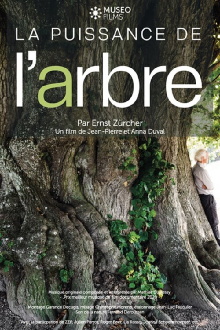 La Puissance de l’arbre avec Ernst Zürcher Trailer