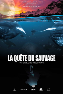 La Quête du sauvage Trailer