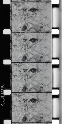 La Source de la Loire Trailer