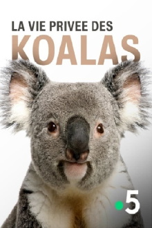 La vie privée des koalas Trailer
