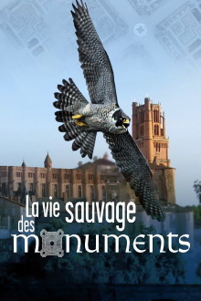 La Vie sauvage des monuments Trailer