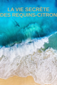 La vie secrète des requins citron Trailer