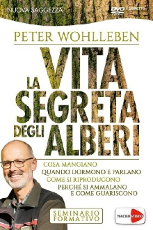 La vita segreta degli alberi Trailer