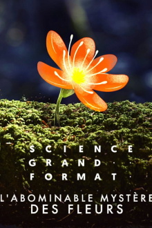 L'Abominable mystère des fleurs Trailer