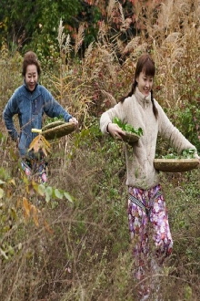 Ladies Of The Forest Trailer