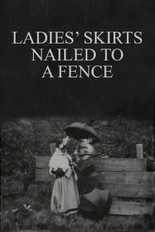 Ladies' Skirts Nailed to a Fence Trailer