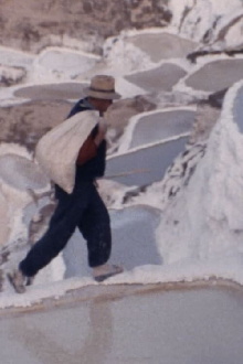 Lágrimas del inca Trailer
