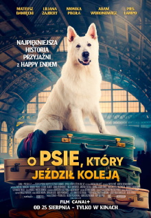 Lampo, the Travelling Dog Trailer