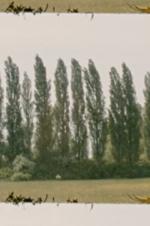 Landscape as Landscape 7 Trailer