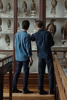 Language of Birds Trailer
