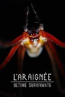 L'Araignée ultime survivante Trailer