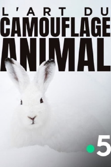 L'art du camouflage animal Trailer