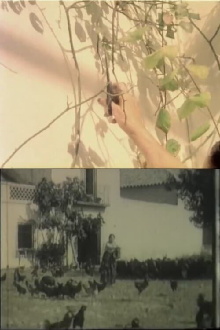 Las flores no quieren viento Trailer