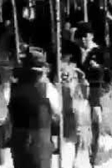 Lasso Thrower Trailer