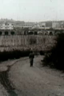 Last Afternoon Trailer