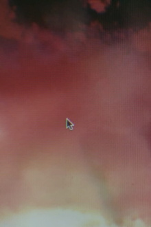 Late Embryo Trailer