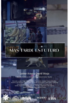 Later’ refers to the future Trailer