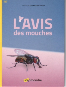 L'Avis Des Mouches Trailer