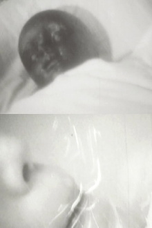 Lazy Virus Of The Afternoon Trailer