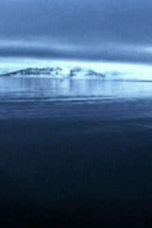 Le cercle Trailer