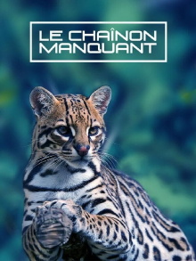 Le Chaînon Manquant Trailer