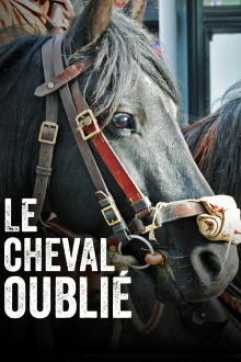 Le cheval oublié Trailer