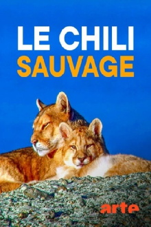 Le Chili sauvage Trailer