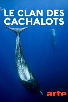 Le clan des cachalots Trailer