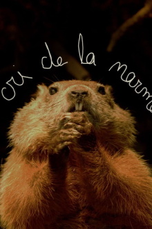 Le cri de la marmotte Trailer